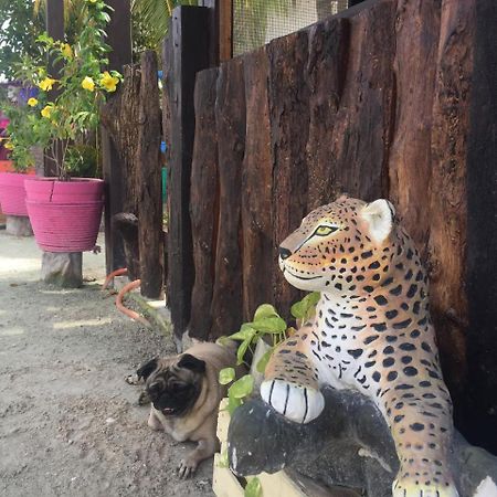Hotel Hacienda La Catrina Isla Holbox Exterior photo