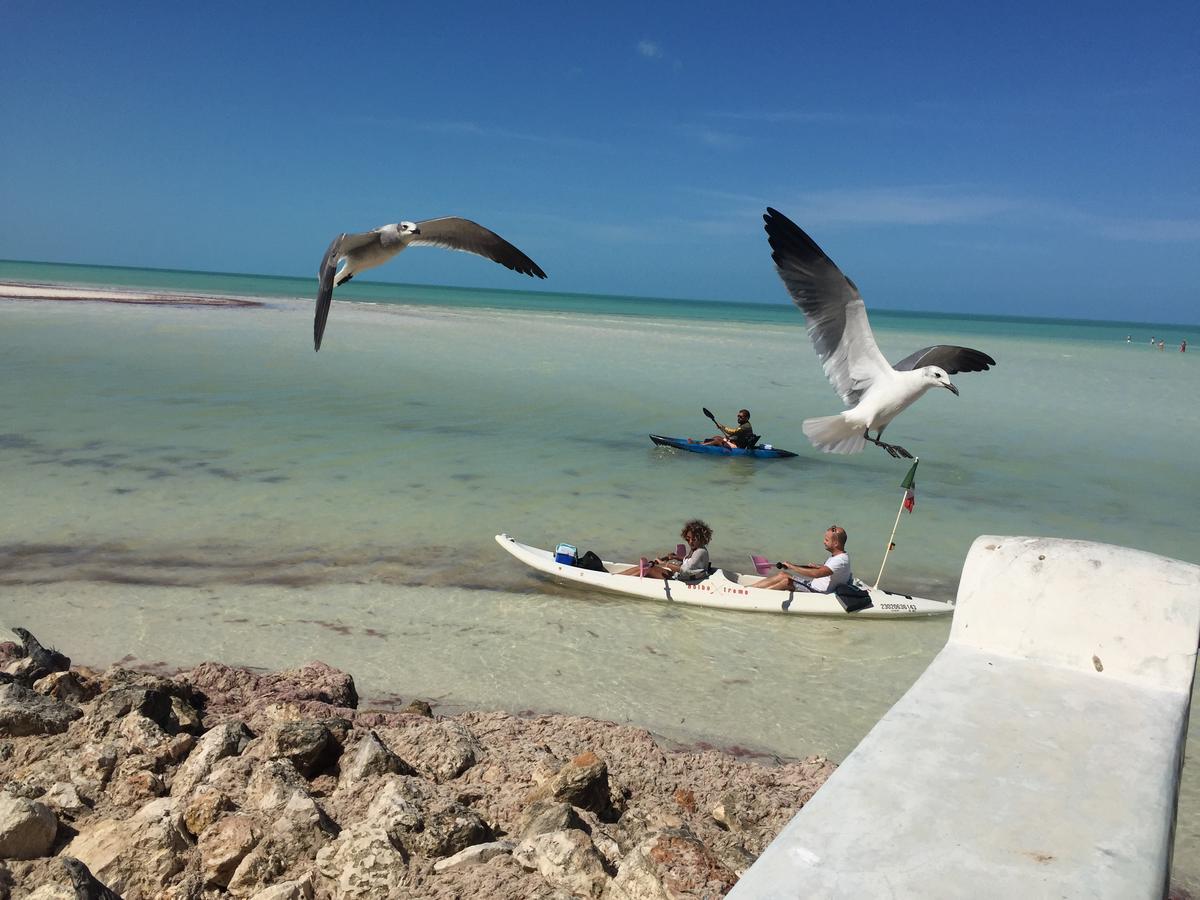Hotel Hacienda La Catrina Isla Holbox Exterior photo